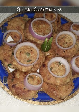 A picture of Special Shami Kababs.