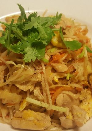 รูปของ ผัดหมี่ฮ่องกงไก่