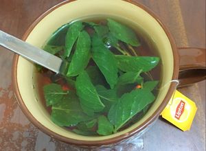 Foto resep Mint tea magribi "maroko Teh mint" (#postingrame2_minuman)