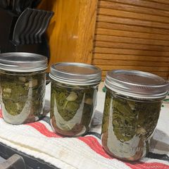 A picture of Swamp Soup.