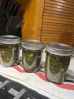 A picture of Swamp Soup.