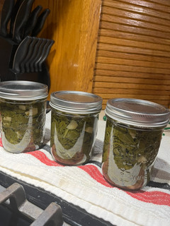 A picture of Swamp Soup.