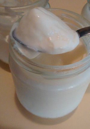 Una foto de Yogur casero sin yogurtera
