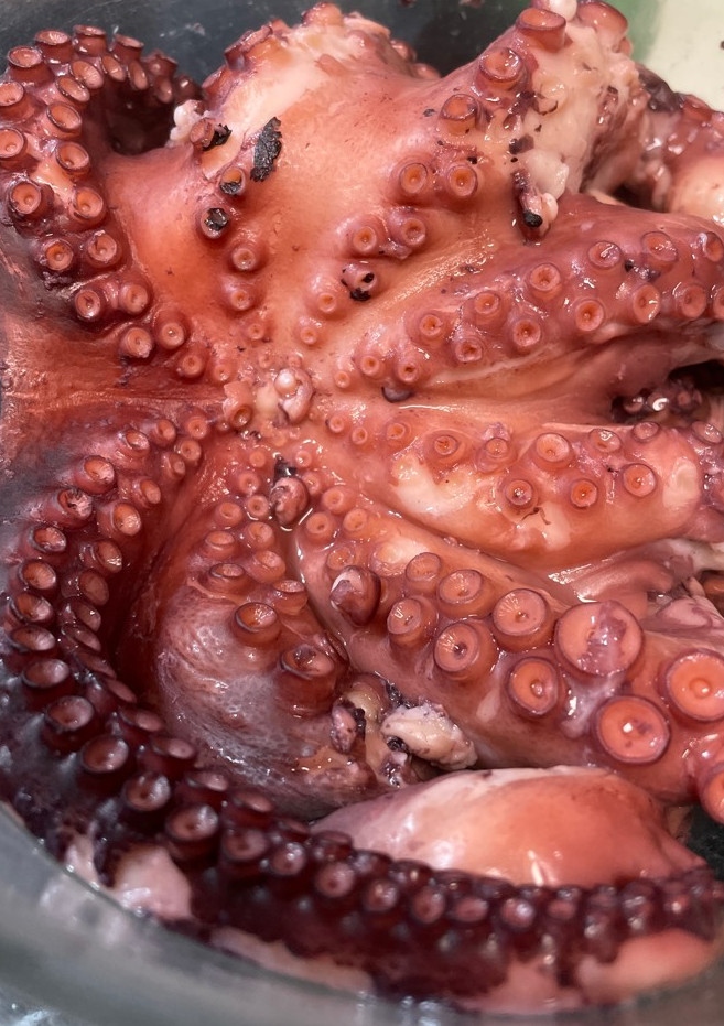 Una foto de Pulpo cocido en olla GM cecotec