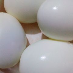 Boiled Egg A picture of Boiled Egg.
