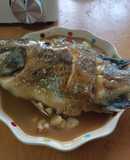 蒜頭台灣鯛