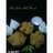 Bolu Kukus Gula Merah (Eggless & No Mixer)