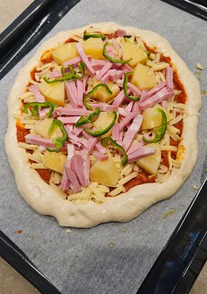 A picture of Pizza Dough.