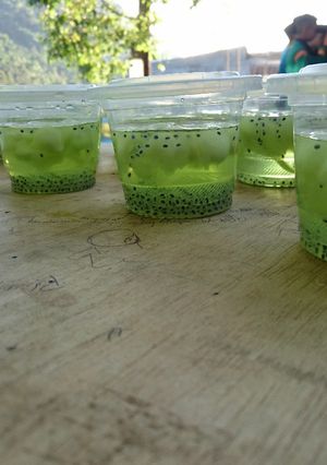 Foto resep Melon squash Tanpa soda Tanpa es batu #BikinRamadhanBerkesan