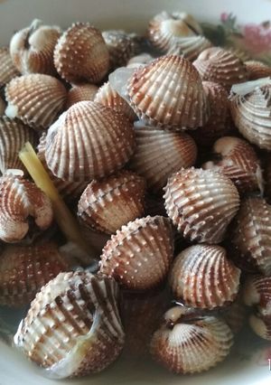 Foto resep 45. Kerang Dara Rebus