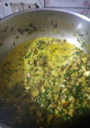 A picture of Malai methi mushroom.