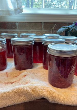 A picture of Fig Jam.