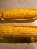 Corn-on-the-Cob