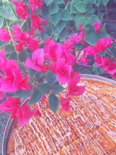 صورة لوصفة بسبوسه بالشعيريه ♥️