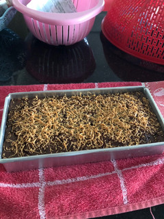 Foto resep Brownies Panggang (chewy)