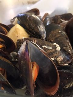 Una foto de Mejillones al vapor a mi manera