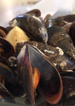 Una foto de Mejillones al vapor a mi manera