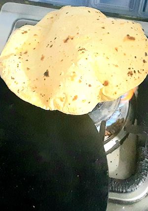 A picture of Roti.