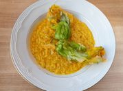 A picture of fried squash
