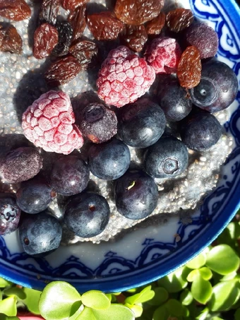 Recipe Chia pudding the Perfect Makes you drool
