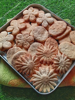 A picture of Biscuits.