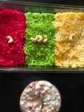 Tricolor Rice with Vegetable Raita