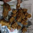 Kuttu ki pakaudi