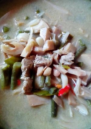 Foto resep Lodeh Nangka Muda / Gori