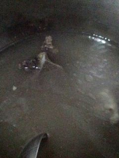 Foto resep Sop tulangan sapi