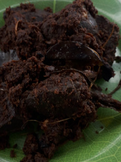Foto resep Rendang daging sapi ala2ku (1 jam jadi, cocok bagi yg sibuk)