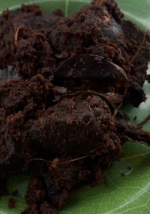 Foto resep Rendang daging sapi ala2ku (1 jam jadi, cocok bagi yg sibuk)