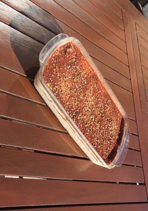 Une photo de Tiramisù à l’italienne