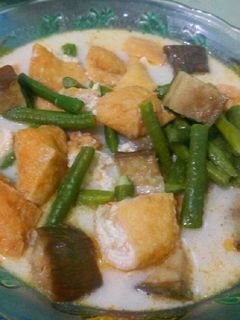 Foto resep Sayur Lodeh Sederhana