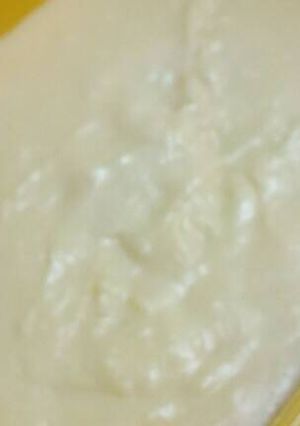 Foto resep Home Made Keju Mozarella