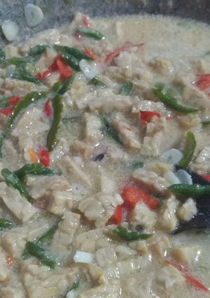 Foto resep Jangan Lombok Gunung Kidul (Sayur Tempe Cabe Hijau)