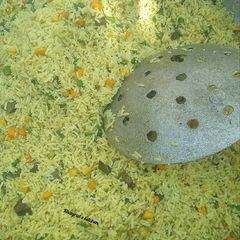 A picture of Party fried rice recipe.