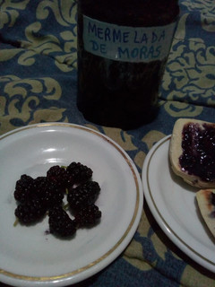 Una foto de Mi mermelada de moras
