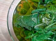 Gambar sayur bening pucuk labu