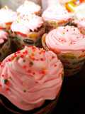 Coconut Chocolate Cupcake