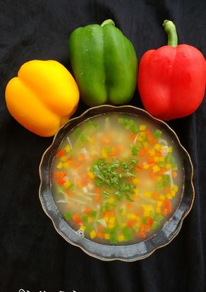 A picture of Paneerjal (Whey) vegetable soup.