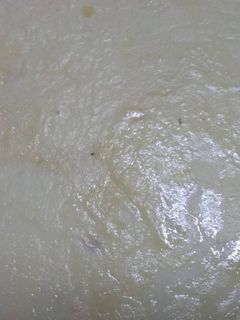 রাবড়ি রেসিপির প্রধান ছবি