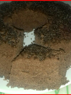 Una foto de Budín de chocolate en microondas fácil