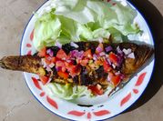 Gambar kerapu bakar teflon