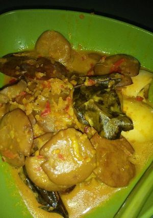 Foto resep Jengkol Opor empuk dan anti bau :)