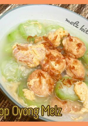 Foto resep Sop Oyong Melz