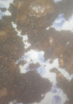Una foto de Brownie