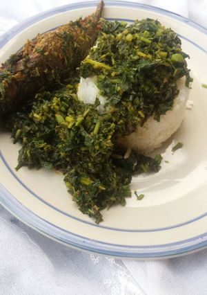 A picture of Spinach stew with rice.