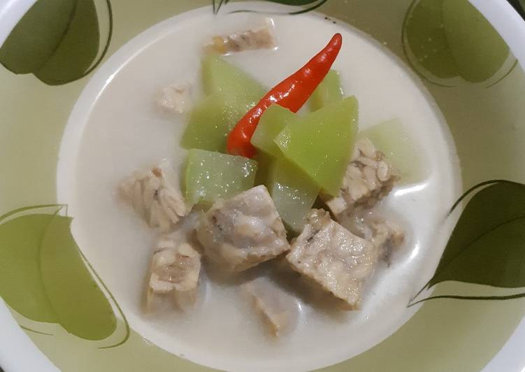 Labu Siam Tempe Kuah Santan Labu Siam Tempe Kuah Santan