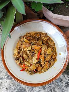 Foto resep Oseng/Tumis Kerang