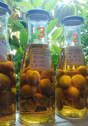 梅子酒 的食譜成品照片